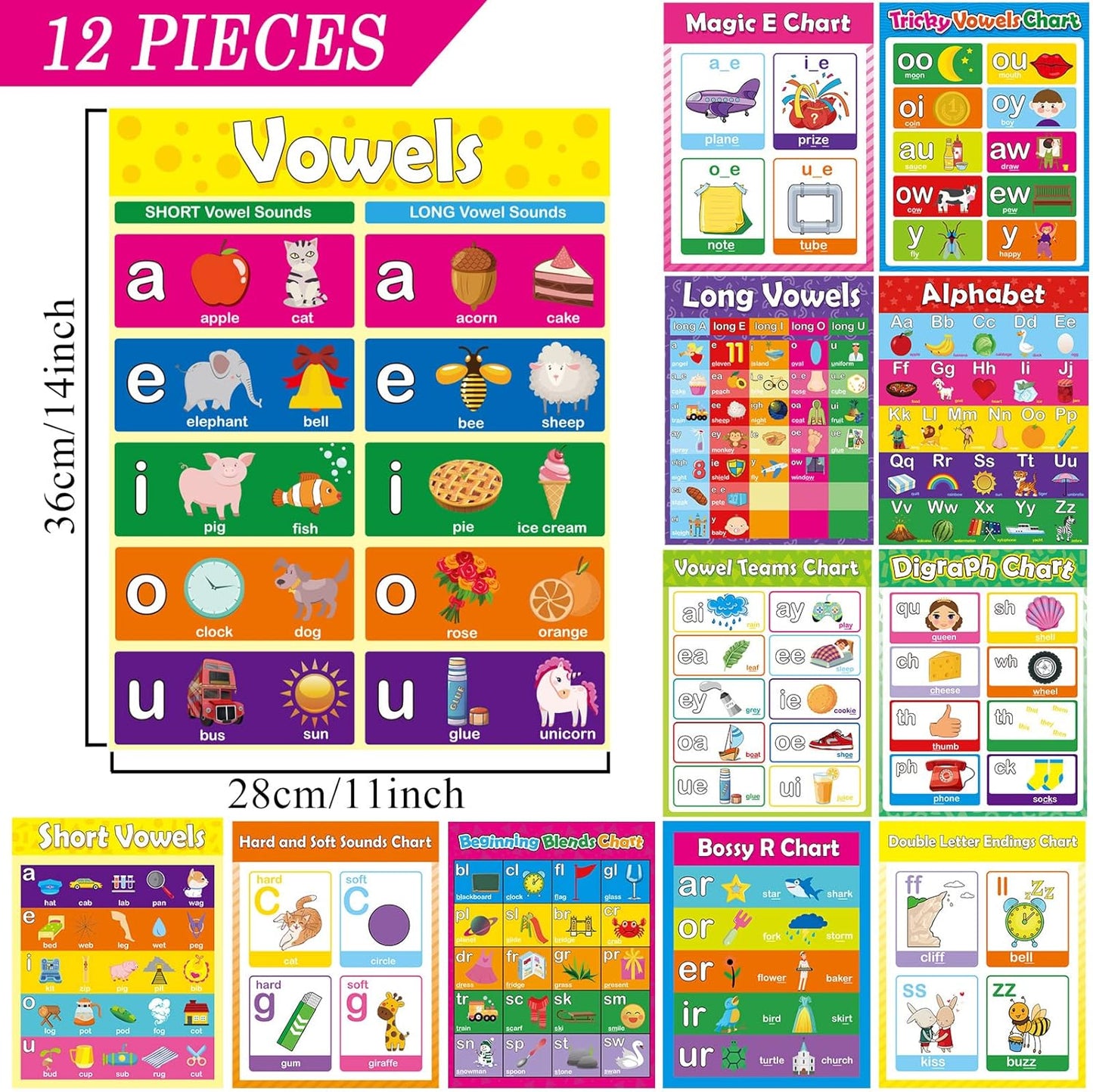 gisgfim 12 Pieces English Phonics Language Posters Decorations for Word Wall Phonics Charts for Alphabet Flash Cards Materials