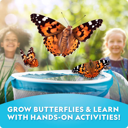 National Geographic Butterfly Growing Kit - Butterfly Habitat Kit with Voucher to Redeem 5 Caterpillars (S&H Not Included), Butterfly Cage, Feeder (Amazon Exclusive)