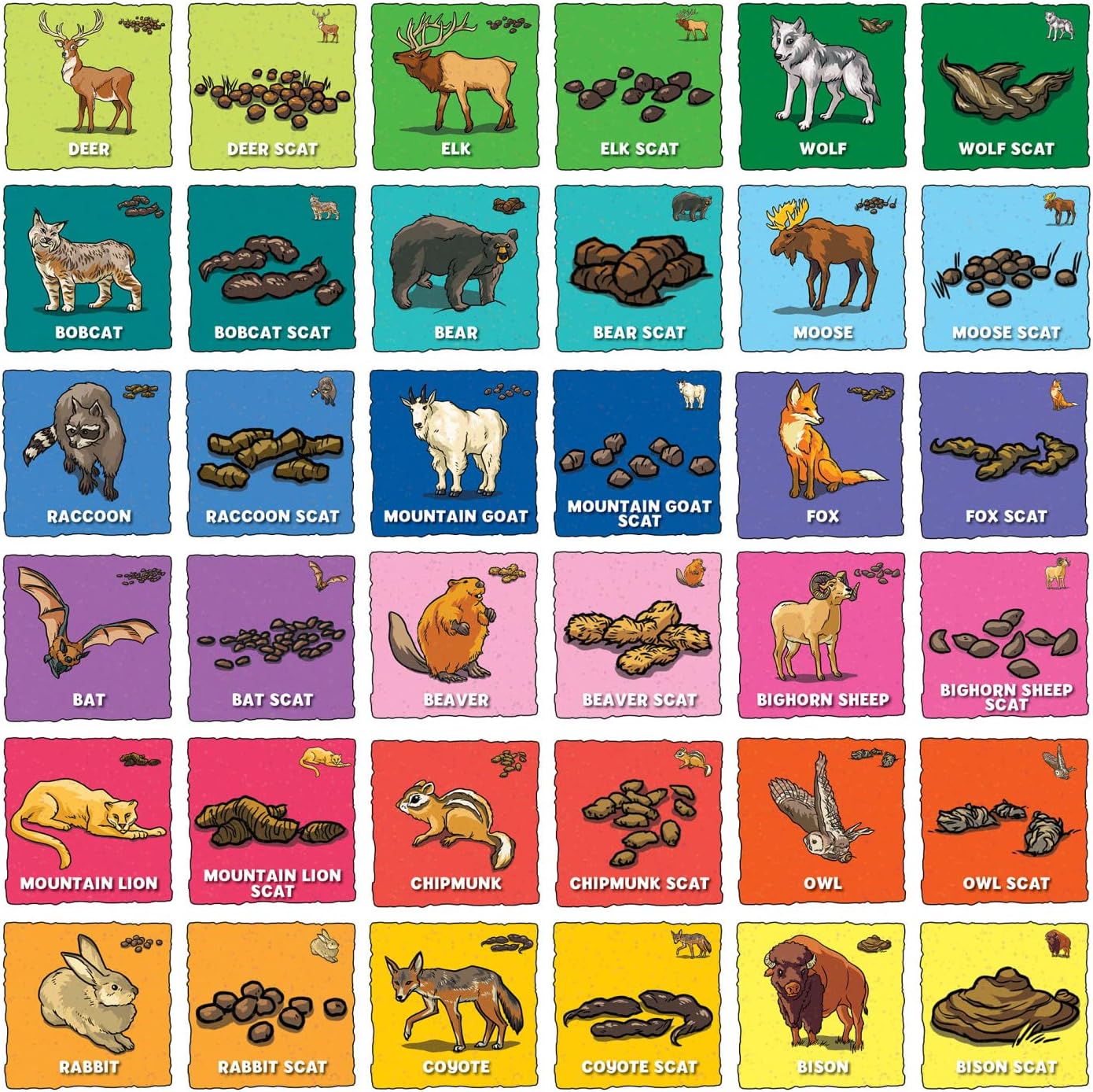 MasterPieces Officially Licensed CAT Picture Matching Card Game for Kids and Families
