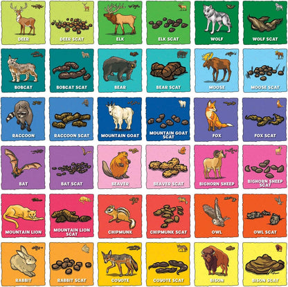 MasterPieces Officially Licensed CAT Picture Matching Card Game for Kids and Families