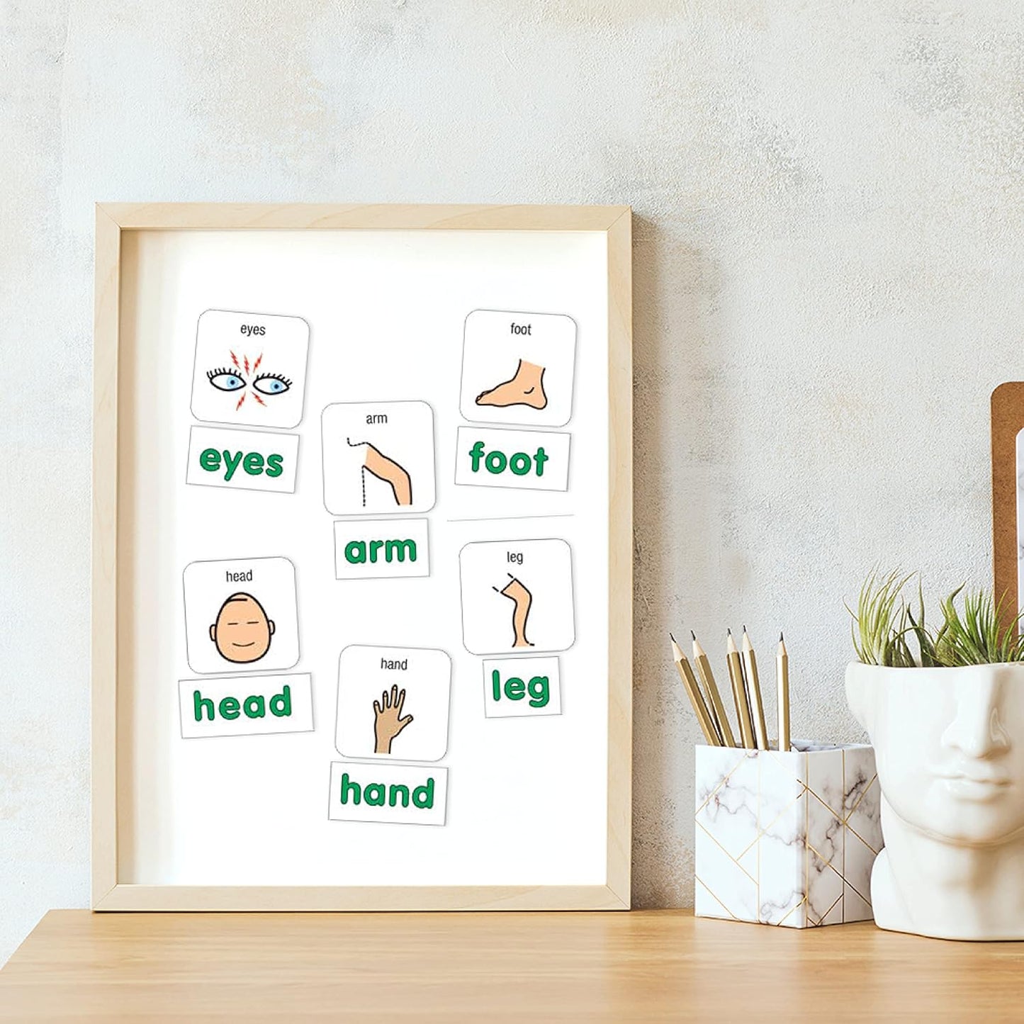 BARKER CREEK Learning Magnets, for Children, Picture Communication Symbol Magnets - High-Frequency Verbs & Companion Word Magnets (3000)