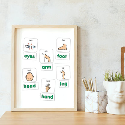 BARKER CREEK Learning Magnets, for Children, Picture Communication Symbol Magnets - High-Frequency Verbs & Companion Word Magnets (3000)