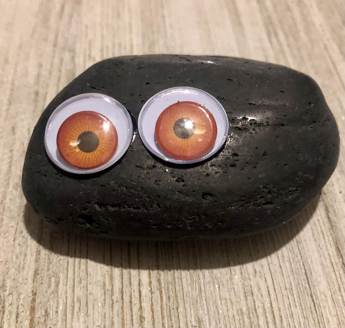 Rock Pet Adoption Kit Funny Novelty Gag Gift (Green Eyes)