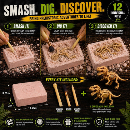 12 Pack Dinosaur Excavation Dig Kit for Kids, Dino Fossil Dig Kits with 3D Skeleton Toys, Bulk STEM Science Paleontology Archaeology Educational Toys, Birthday Party Favors for Boys Girls