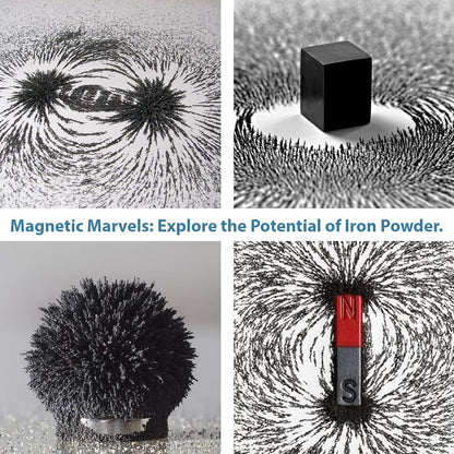DAILYLIFE Magnetic Sand Iron Filings for Science, 12 Ounces of Iron Powder in Glass Bottles with Shaker Holes and Lid, 1 Pack Iron Oxide Powder for Education and School Projects, Metal Powder