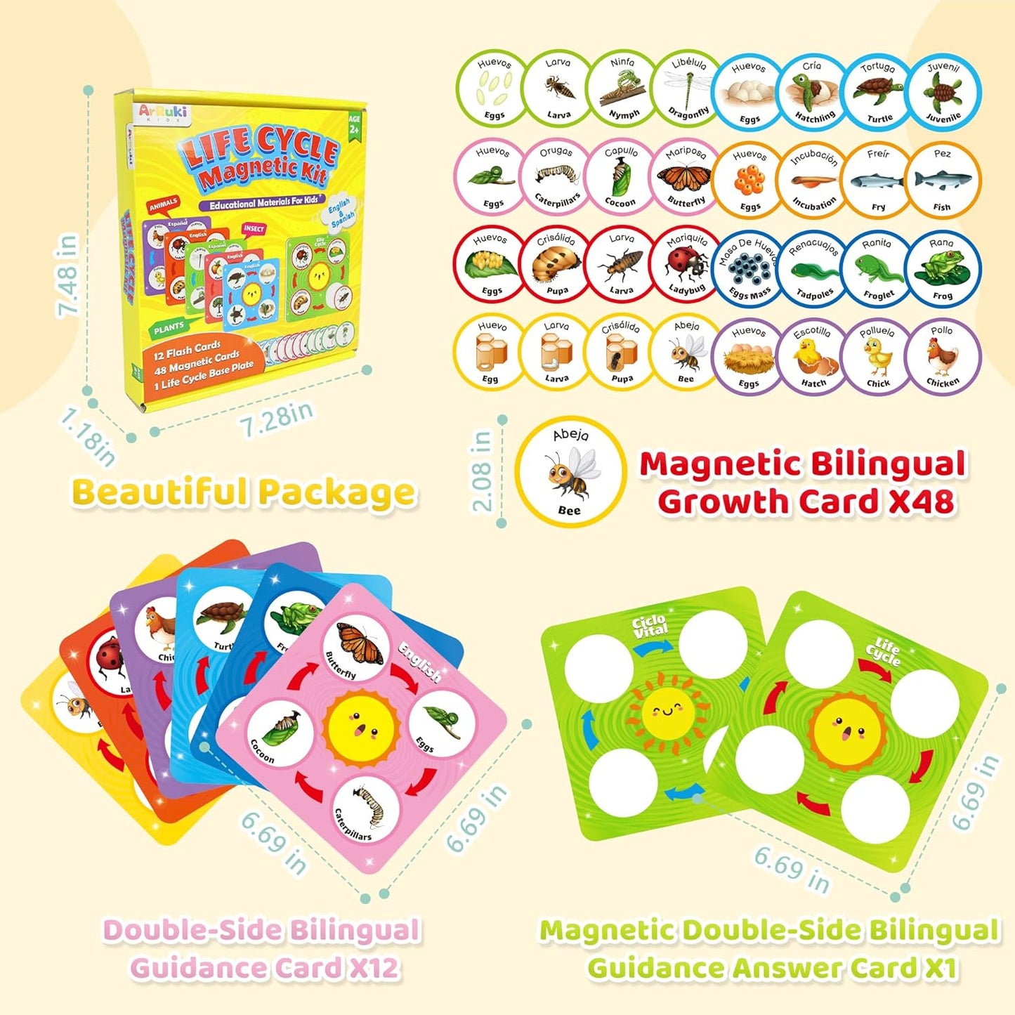 Bilingual Spanish and English Lift Cycle KIt Montessori Toy, Magnetic Learning Education Toys with Flash Cards, Animal Science Activities for Kids Ages 5-8, Matching Toys with Butterfuly, Frog