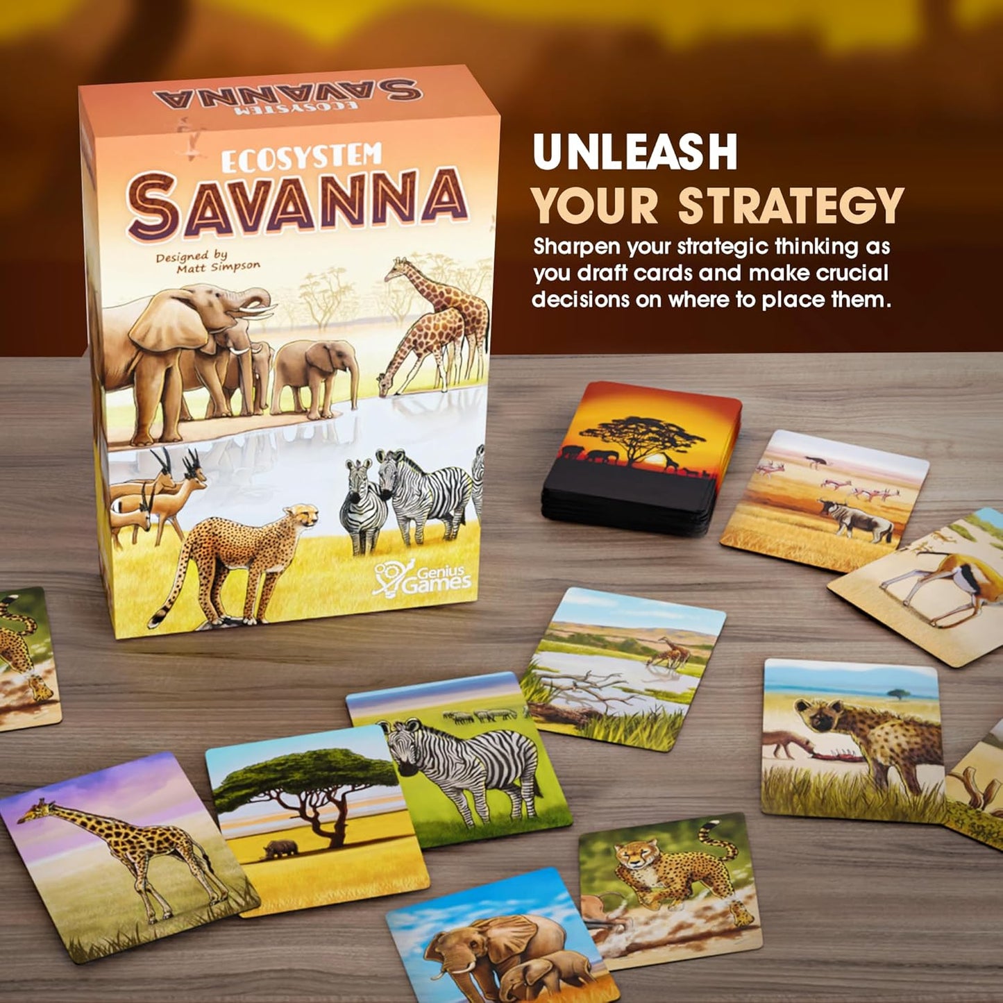 Ecosystem - A Family Card Game about Building Habitats | Learn about Animals, Ecology & Biodiversity for Kids, Adults, Families or the classroom! Fun Board Games for Environmental Science Class