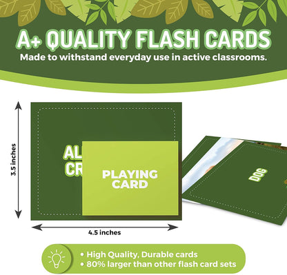 50 Noun Flash Cards, Fun Vocabulary Builder Educational Learning Photo Cards for Kids, Homeschool, Adults, Seniors, Speech Therapy, ESL, Autism, Dementia, Aphasia, SLP, ABA, and Occupational Therapy