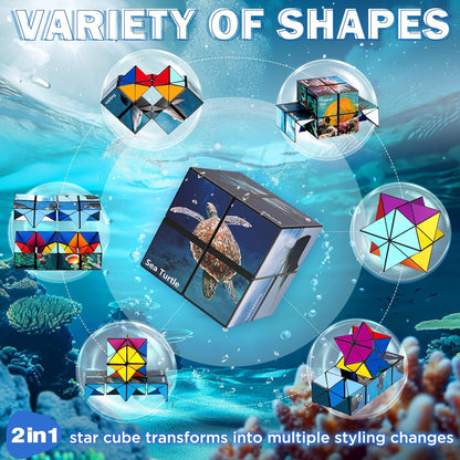Star Cube Magic Cube Set, 2 in 1 Yoshimoto Cube for Kids and Adults, Toy for Boys and Girls Ages 8-12