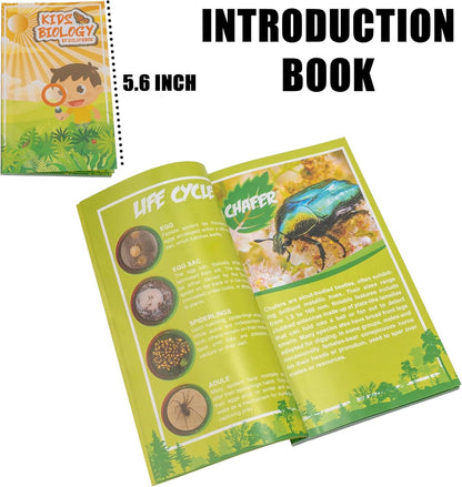 Insect Specimen Set, Bugs Collection Scientific Education Gift for Kids Aged 3-8-12 (Millipede, Centipede, Dragonfly Larvae, Tea Seed Bug, Red Longhorn Beetle, Spiny Spider)