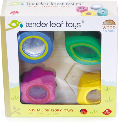 Tender Leaf Toys - Sensory Trays - Baby Blocks, Shape Sorter, STEM Learning Shape Identification Sorting Game Toy for Kids 18 Month + (Touch Sensory Trays)