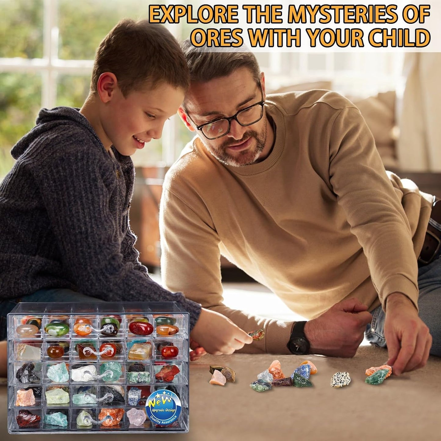 Rock Collection Box for Kids - Display Case for Collectibles - Storage and Display Shelf - Generation 2