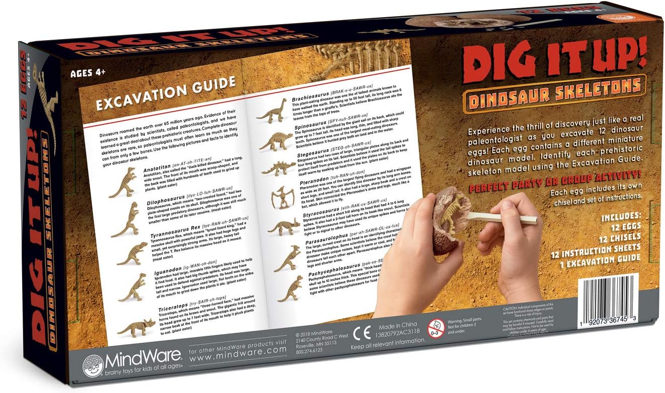MindWare Dig It Up! Dinosaur Skeleton Eggs Excavation kit - Comes with 12 Clay Eggs, 12 Chisel Tools and 12 Instruction Sheets