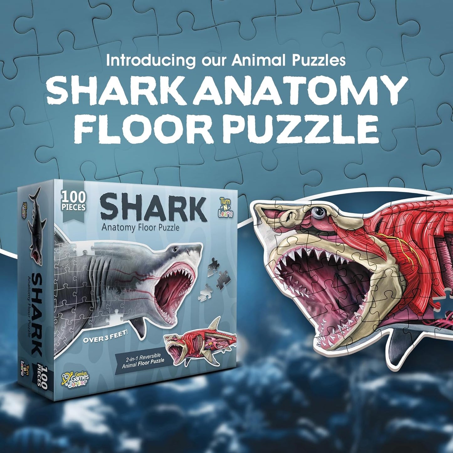 Bullfrog Animal Anatomy Floor Puzzle | 100-Piece Double Sided Jigsaw Puzzle | Large-Sized, Over 4 Feet Scientifically Accurate Illustration of Frog - Fun and Educational Toy for Kids, Toddlers
