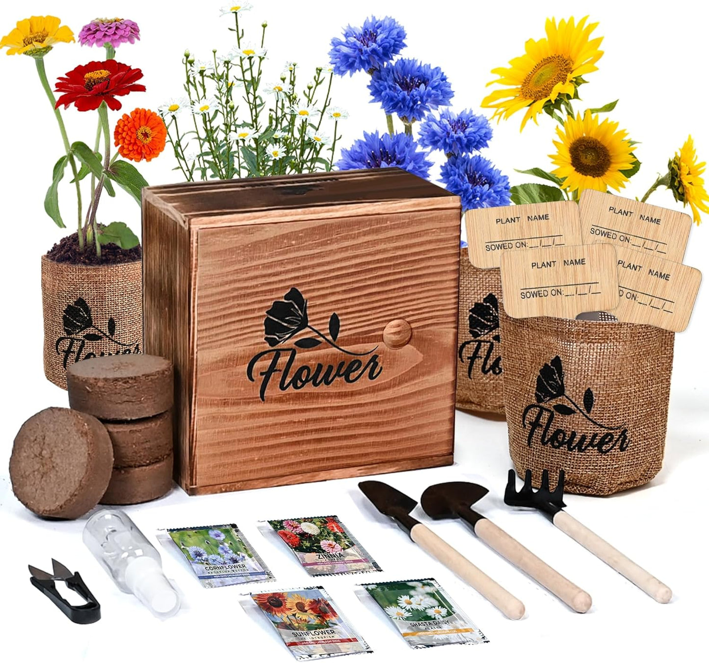 Meekear Indoor Starter 4 Kit with Complete Gardening Kit & Wooden Box, Growing into Shasta Daisy, Cornflower, Sunflower, Zinnia