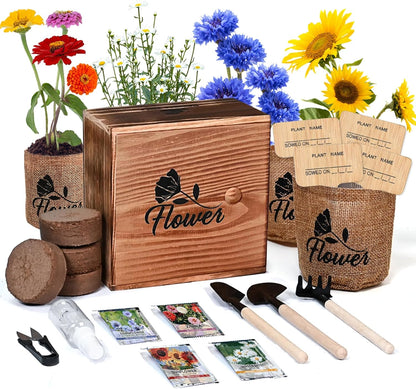 Meekear Indoor Starter 4 Kit with Complete Gardening Kit & Wooden Box, Growing into Shasta Daisy, Cornflower, Sunflower, Zinnia
