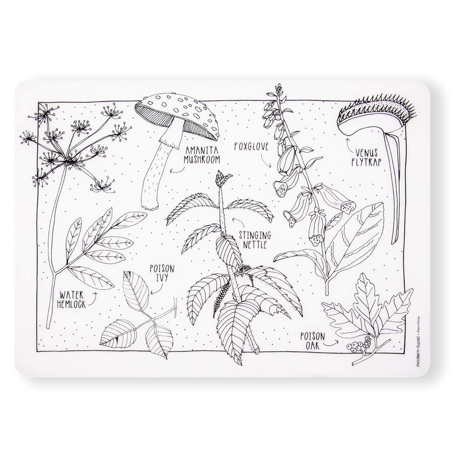 Modern-Twist 100% Plastic Free Silicone Waterproof, Dishwasher Safe Doodle Mat, Single Mat, Alphabet Animals