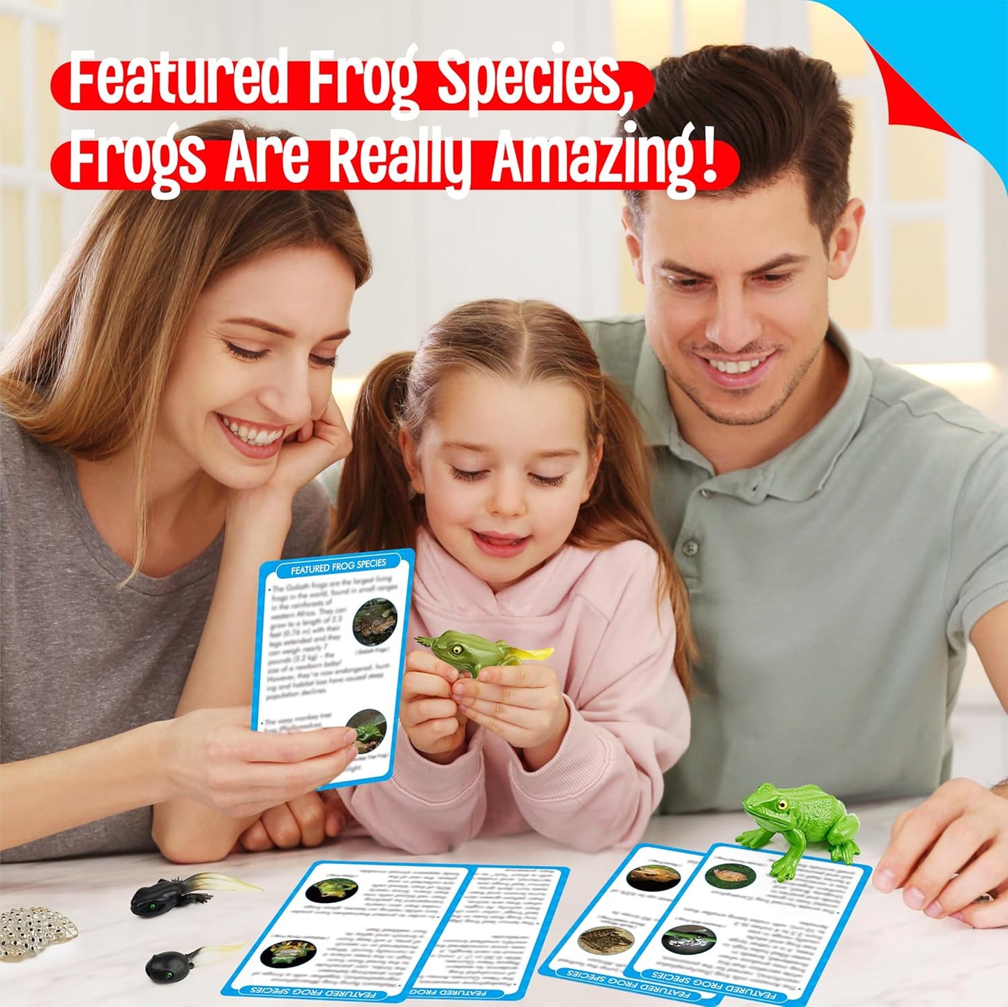 15 Plant Life Circle Flashcards with 4 Plastic Figurines-Seed to Plant, Plants Introduction Card Plants Growth Details for Nature Lovers & Adults, Montessori Toy for Kids