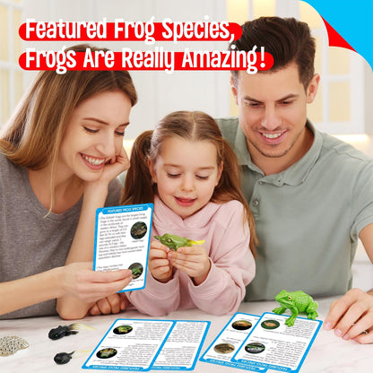 15 Plant Life Circle Flashcards with 4 Plastic Figurines-Seed to Plant, Plants Introduction Card Plants Growth Details for Nature Lovers & Adults, Montessori Toy for Kids