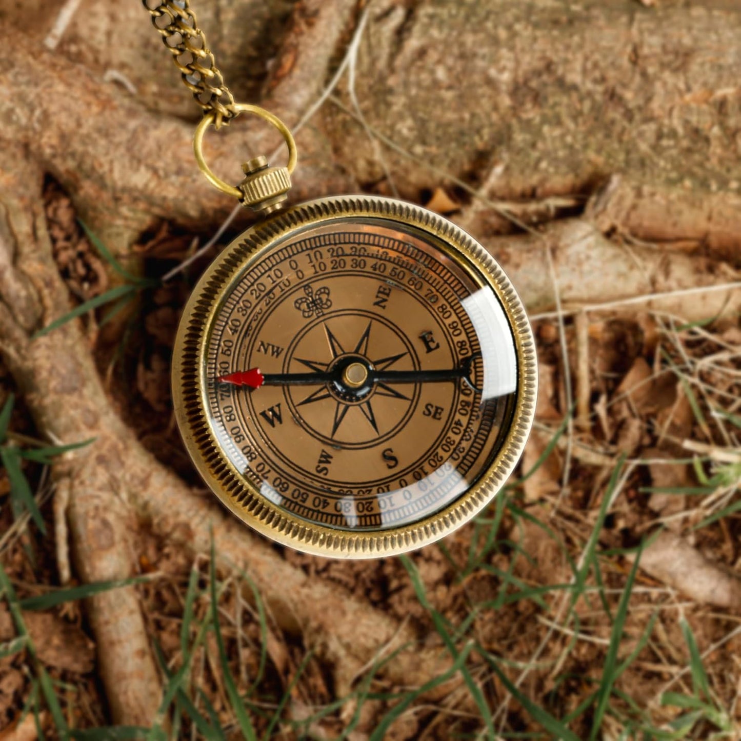 Compass with Stamped Wooden Case