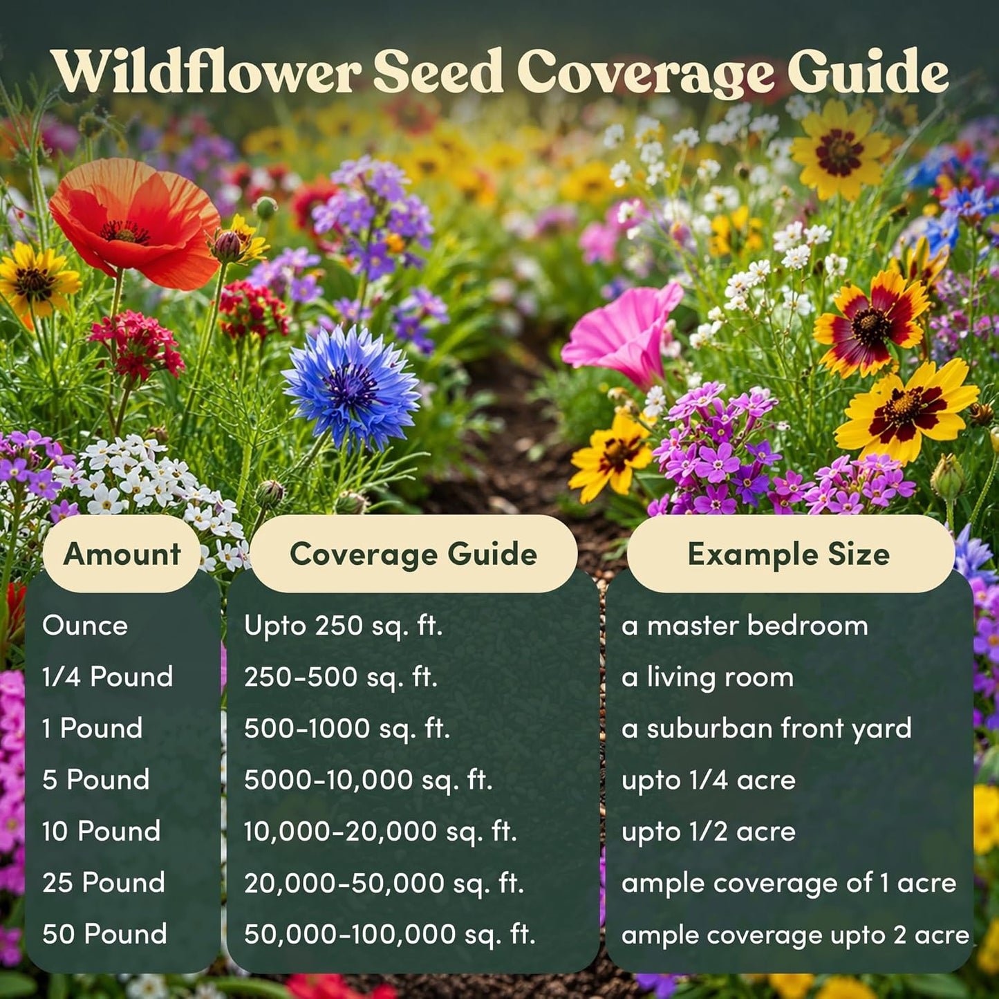 Mini Wildflower Seed Shaker - Save The Bees Seed Mix, by GevaGrow | 80,000+ Seeds | Pollinator & Bee Attracting Flower Seeds Bulk for Planting in Pots & Outdoor Gardens | 2 Ounce