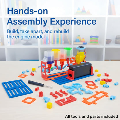 4-Cylinder Working Engine Model DIY Assembly STEM Kit for Kids Ages 8–14, Build with Moving Pistons and Crankshaft, Hands-On Mechanical Engineering Learning Kit
