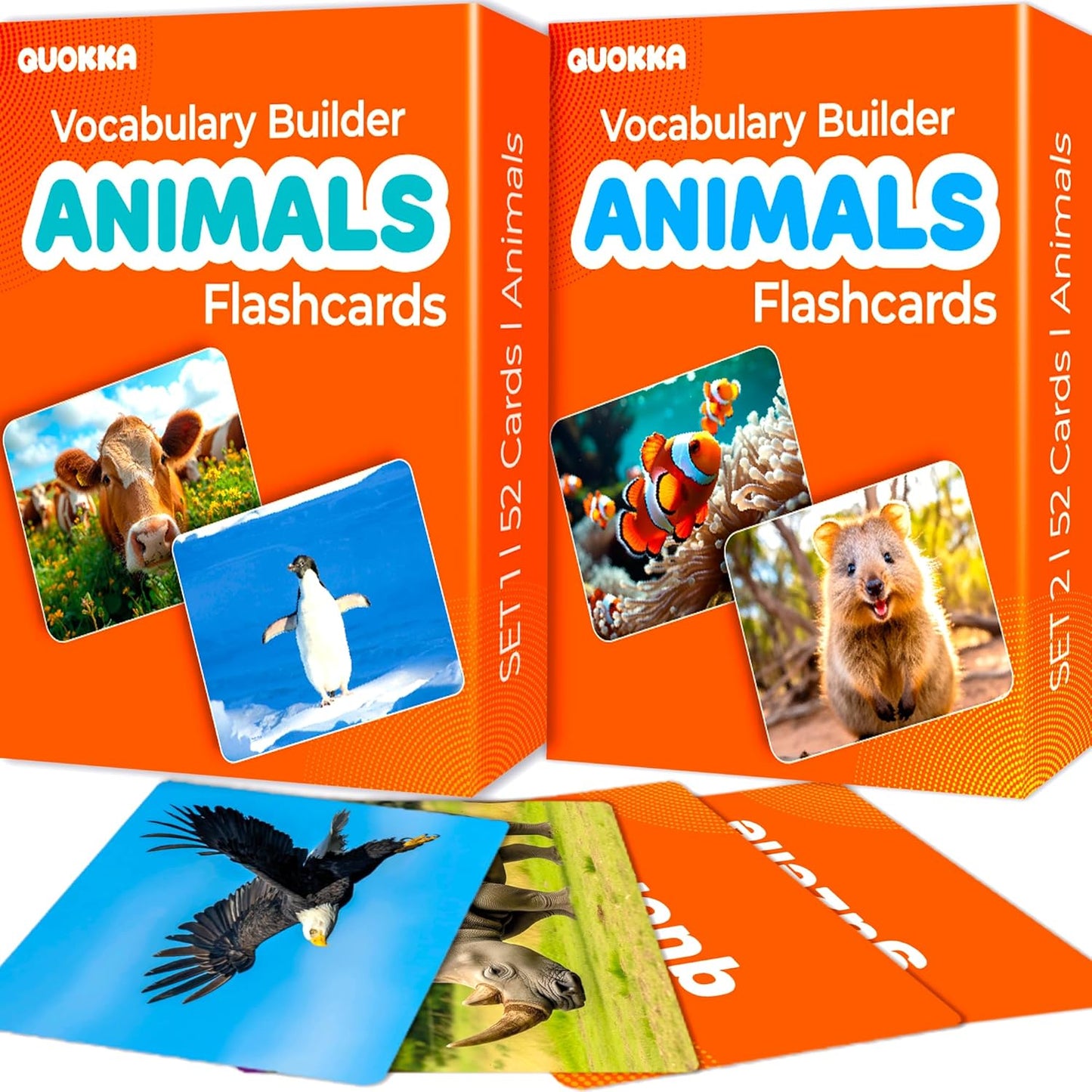 QUOKKA 104 Noun Flash Cards Set – Kids and Adults Vocabulary Builder for ABA Therapy, Early Childhood Education, and ESL Teaching – Picture Cards for Speech Therapy and Vocabulary Building Activities