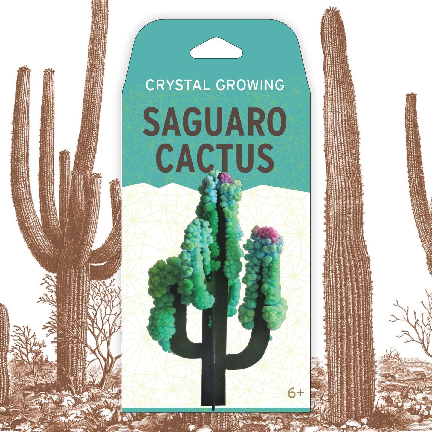 Copernicus Toys Crystal Growing Saguaro Cactus Official Terraformer kit | Grows in Hours | Facts and Instructions Included
