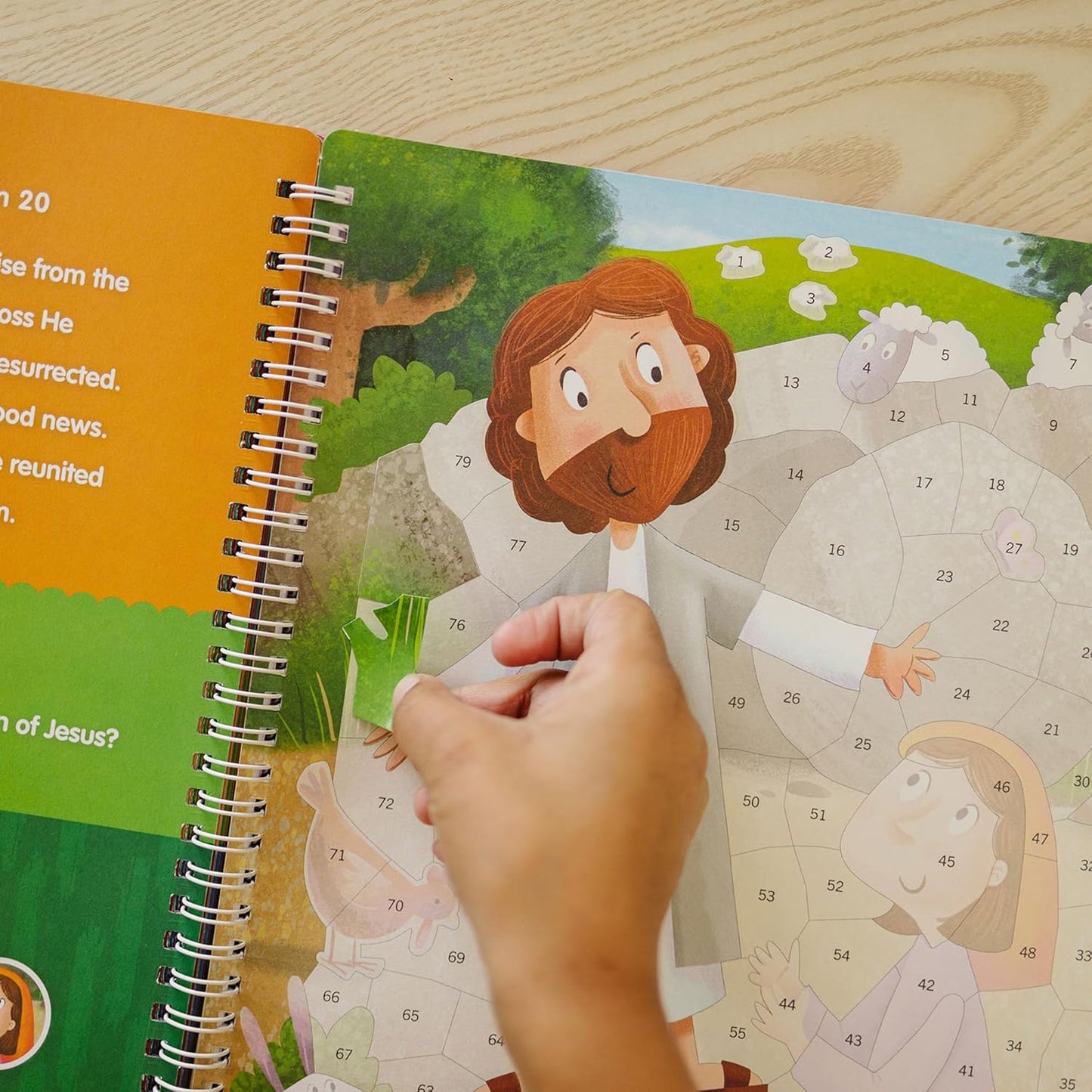 Activity Sticker Book 7 and Up The Life of Jesus Sticker Stories Puzzle Book Explore 10 New Testament Adventures 756 Reusable Stickers Spiral Binding
