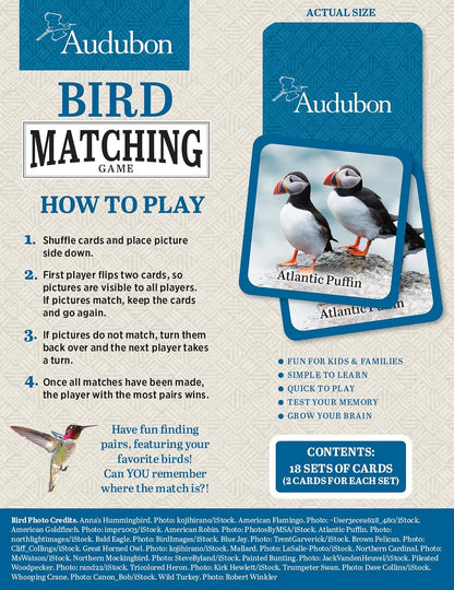 MasterPieces Officially Licensed CAT Picture Matching Card Game for Kids and Families