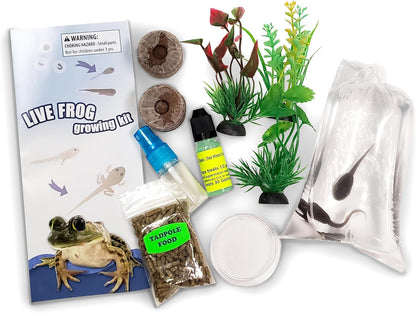 Tadpole to Frog Starter Kit - Includes Certificate for 2 Live Tadpoles - All-in-One Bundle with Habitat, Food, Instructions - Ideal for Education and Home Observation