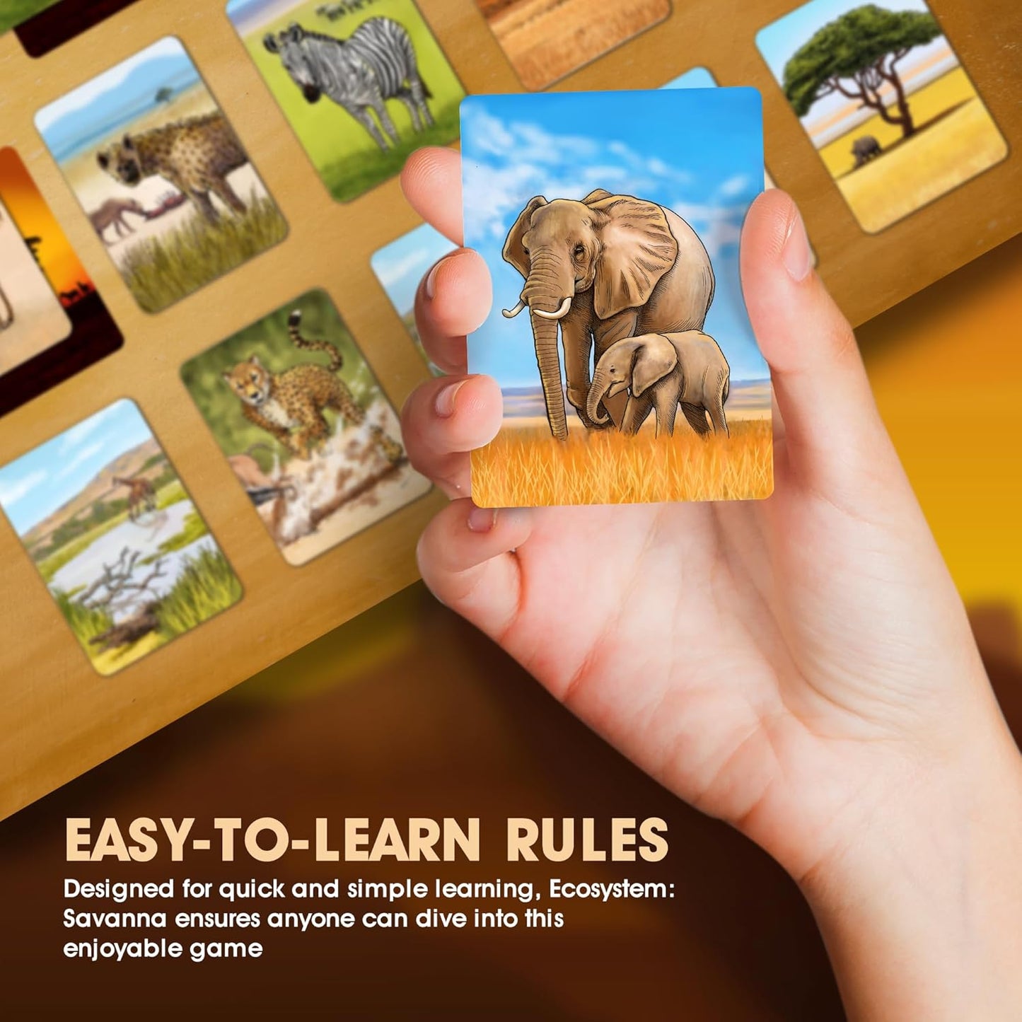 Ecosystem - A Family Card Game about Building Habitats | Learn about Animals, Ecology & Biodiversity for Kids, Adults, Families or the classroom! Fun Board Games for Environmental Science Class