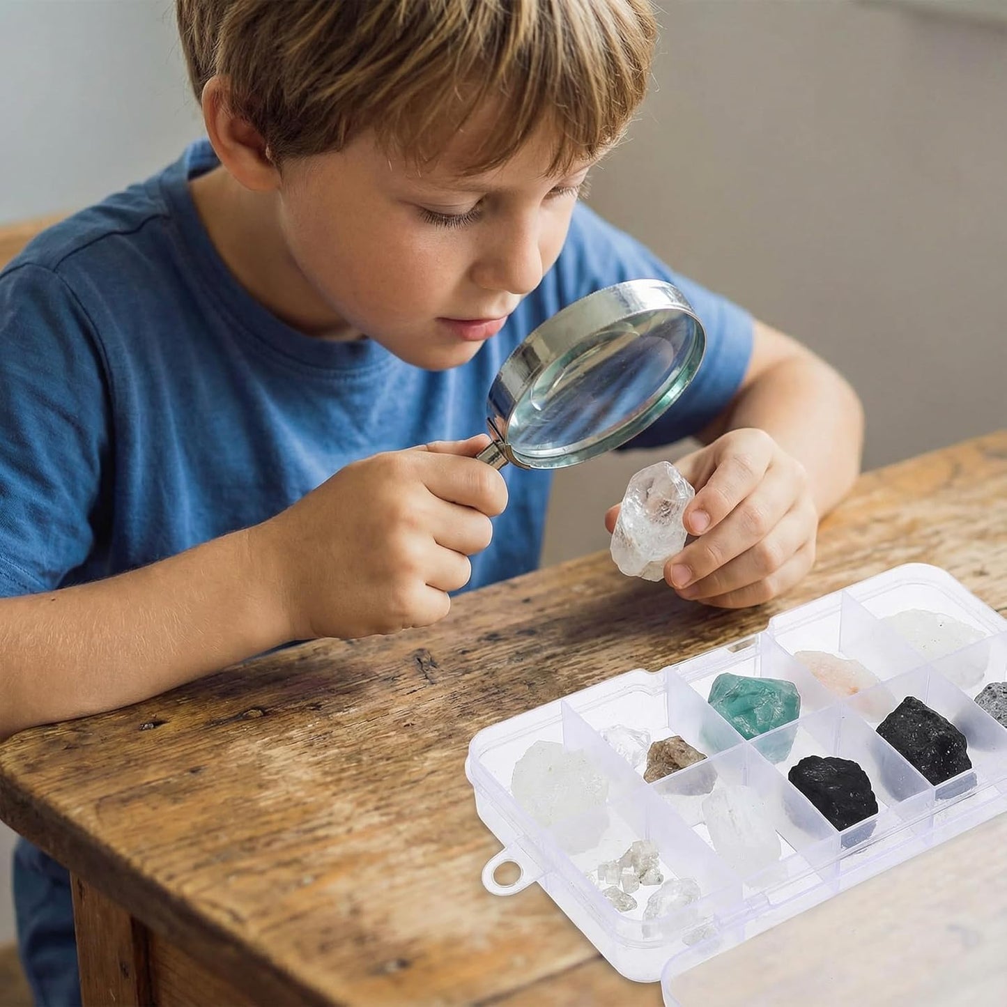 Alipis Rock Collecting Kit for Kids 10 Piece Mineral Specimens Set with Portable Organizer Box Educational Geology Science Kit for Classroom and Home Learning