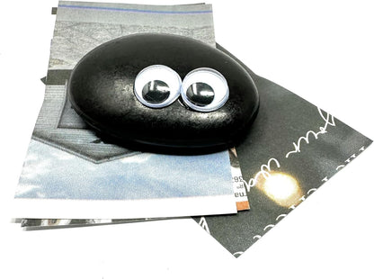 Rock Pet Adoption Kit Funny Novelty Gag Gift (Green Eyes)