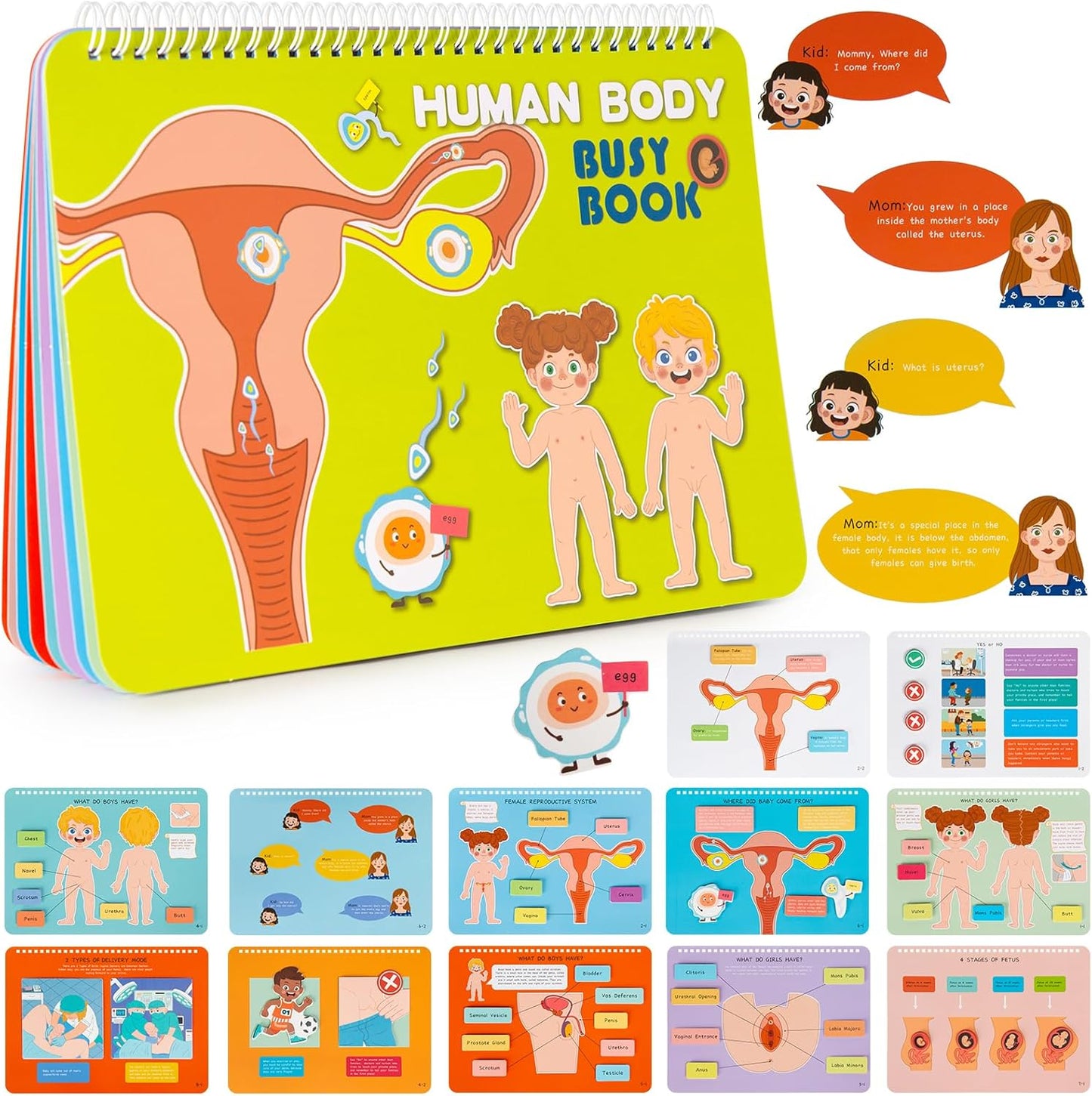 Freebear Montessori Busy Book for Kids, Human Body Anatomy Book for Toddlers, Preshool Kindergarten Learning Activities, Autism Sensory Toys, Travel Toys, Gifts for Girls and Boys 4 5 6 7 8 Years