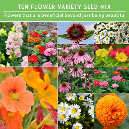 Flower Seeds Garden Kit - 36 Packs of Annual & Perennial Flowers for Planting – with Wildflowers for Pollinators, Bees, Butterflies | Heirloom Non-GMO Seed Starter Pack – Survival Garden Seeds
