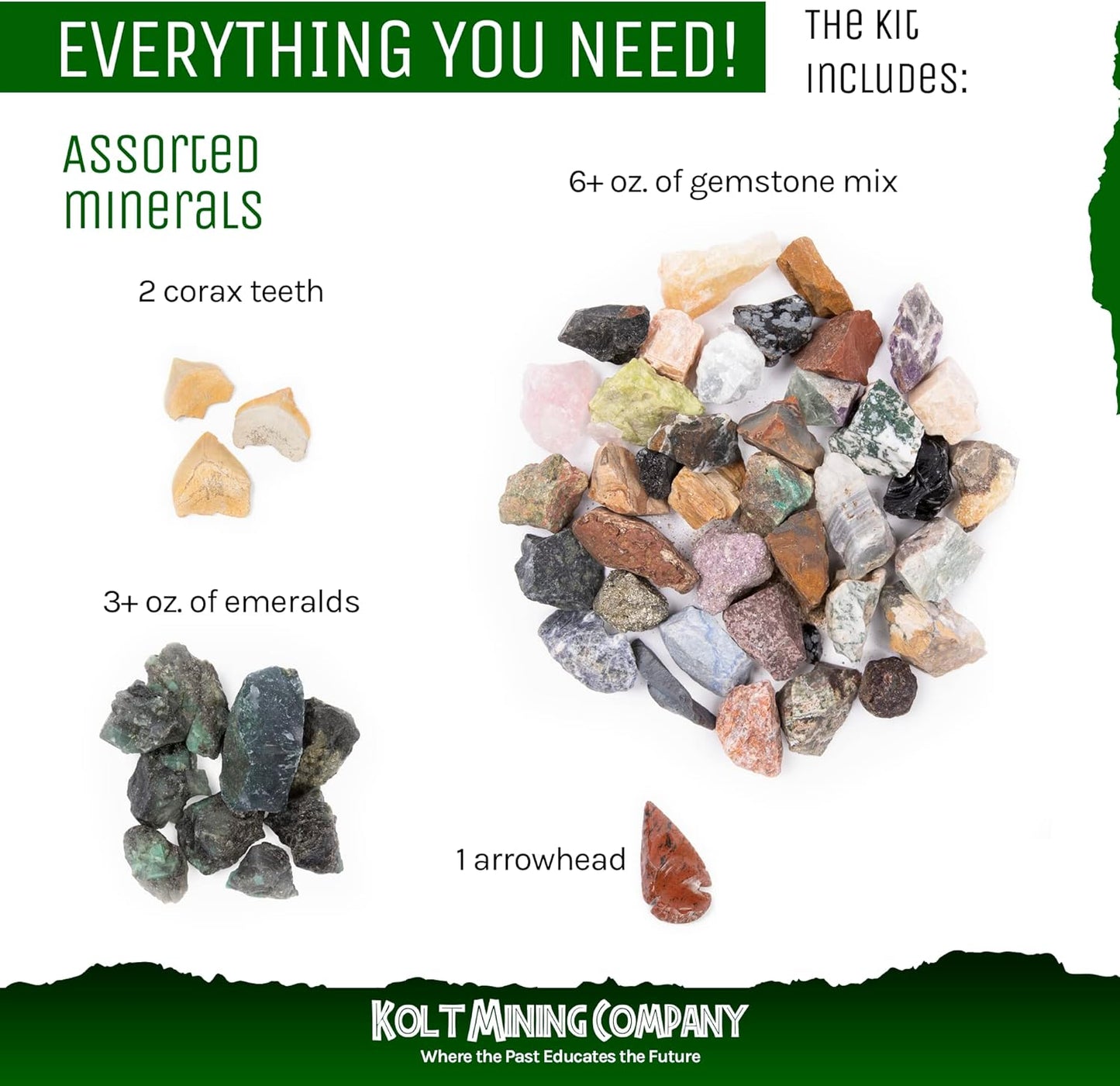 Activity Dig Kit - Adult Geology & Mineralogy Set - Includes Real Fossils, Arrowheads, Shark Teeth, Crystals, Rocks & Gemstones