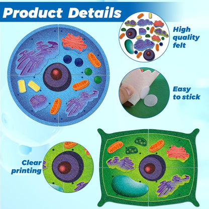2 Set Giant Felt Animal and Plant Cell Anatomy Model Kits Early Biology Cell Model Life Science Toys Animal Plant Bacteria Science Kit for Boys Girls Classroom Educational Learning