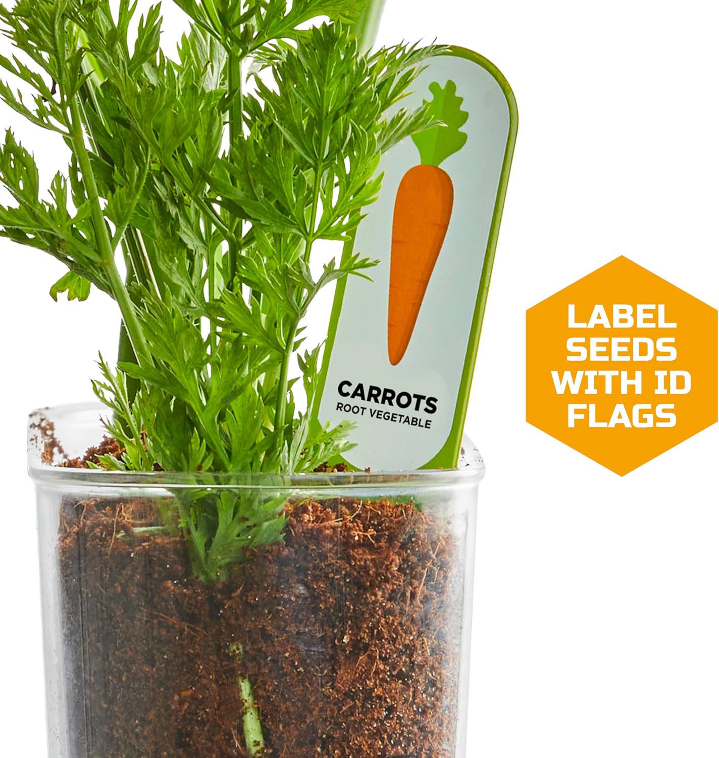 Discovery™ Edible Veggie Garden Watch-It-Grow Kit – DIY STEM Activity for Kids | Grow Carrots, Radishes & Onions| 11-Piece Science Kit with Seeds, Potting Mix & Root Tracker| Learning Toy Gift Ages 6+