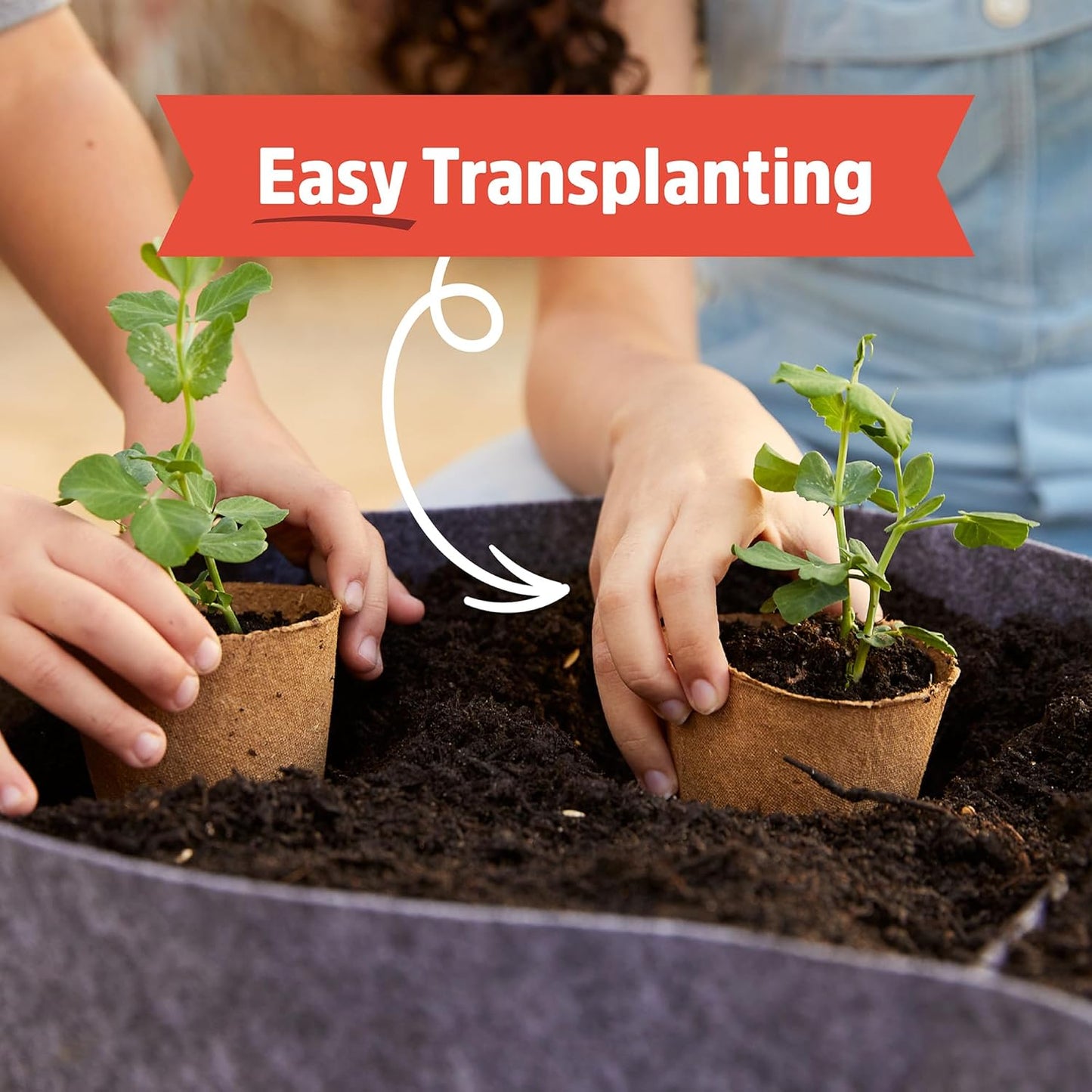Back to the Roots Terrarium Grow Kit - Easy-to-Use DIY Set for All Ages Small