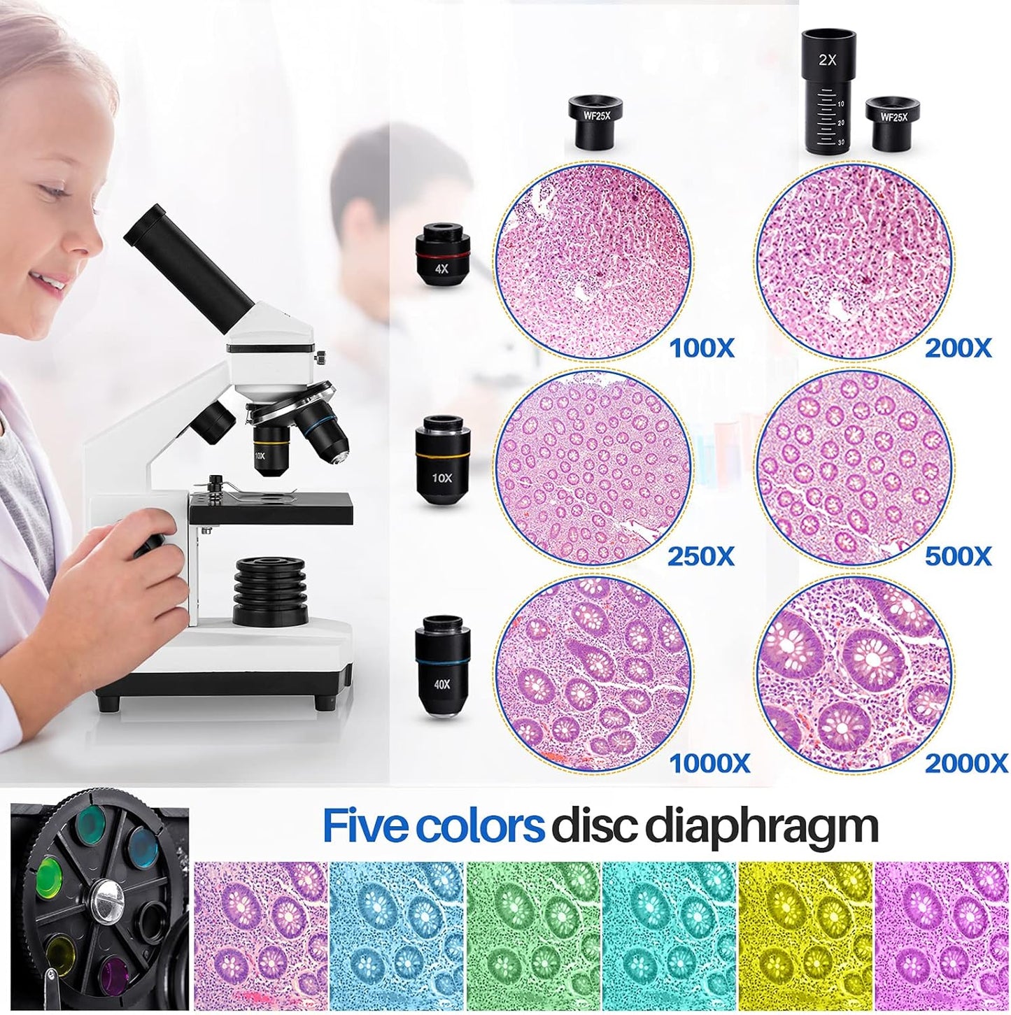 Microscope for Adults Kids, 100X-2000X BEBANG Compound Microscope with Microscope Slides, Microscope Kit for Kids Students Home School Lab