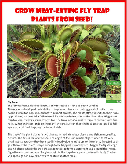 Toys By Nature Miniature Worlds Terrifying Venus Flytrap Terrarium Starter Kit for Kids and Adults, Watch Indoor Carnivorous Fly Traps Grow! Just Add Water! (Frightening Flytraps)