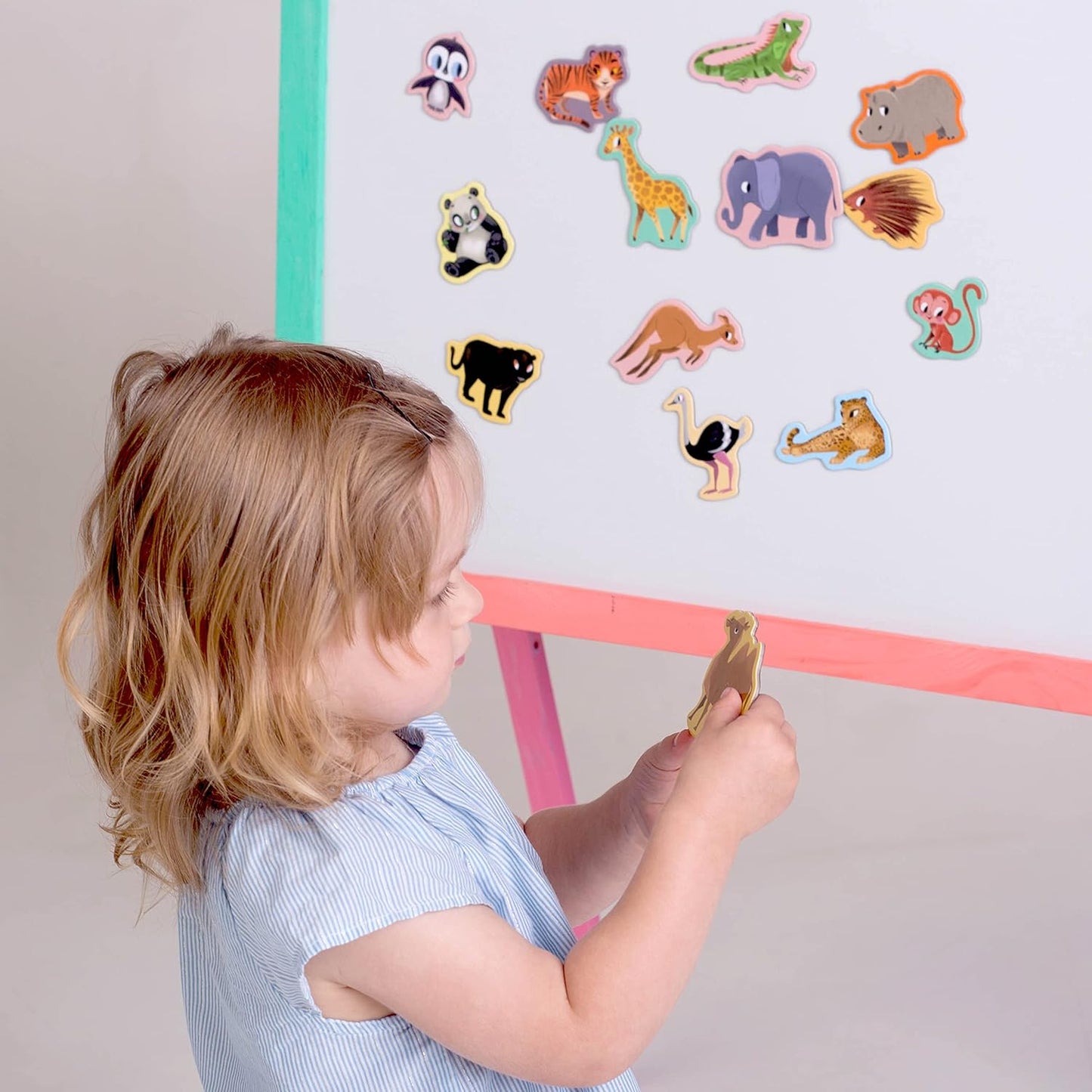 25 Fridge Magnets for Toddlers - Birds Photo Kids Magnets for Refrigerator – Real Magnetic Animals for Children – Big Realistic Magnet for Kids - Learning Toy Set - Baby Educational Gift