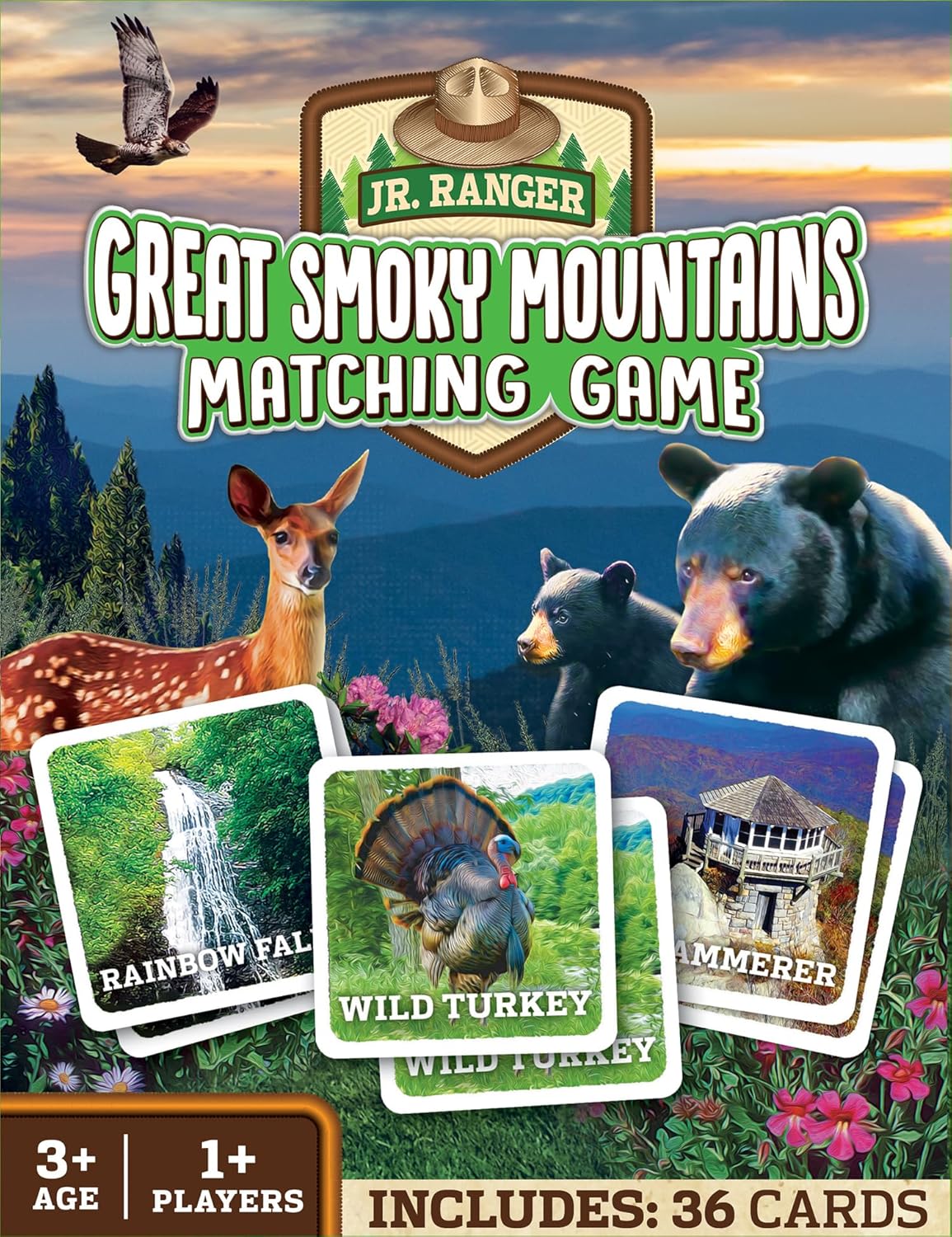 MasterPieces Officially Licensed CAT Picture Matching Card Game for Kids and Families