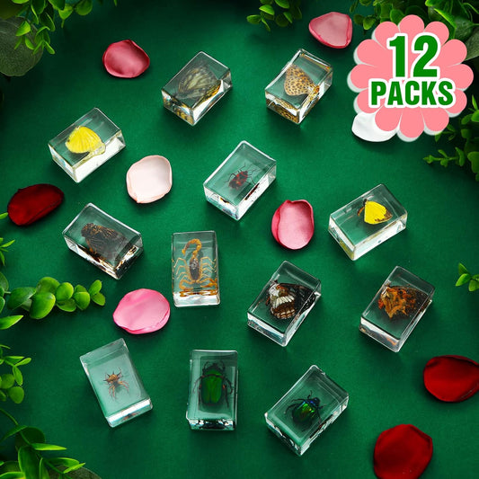 Macarrie 12 Pcs Insect Specimens for Kids Bug Collection Kit Real Specimens of Various Butterflies Beetles Classroom Science Education Animal Collection Bug Preserved Biology(Ladybug)