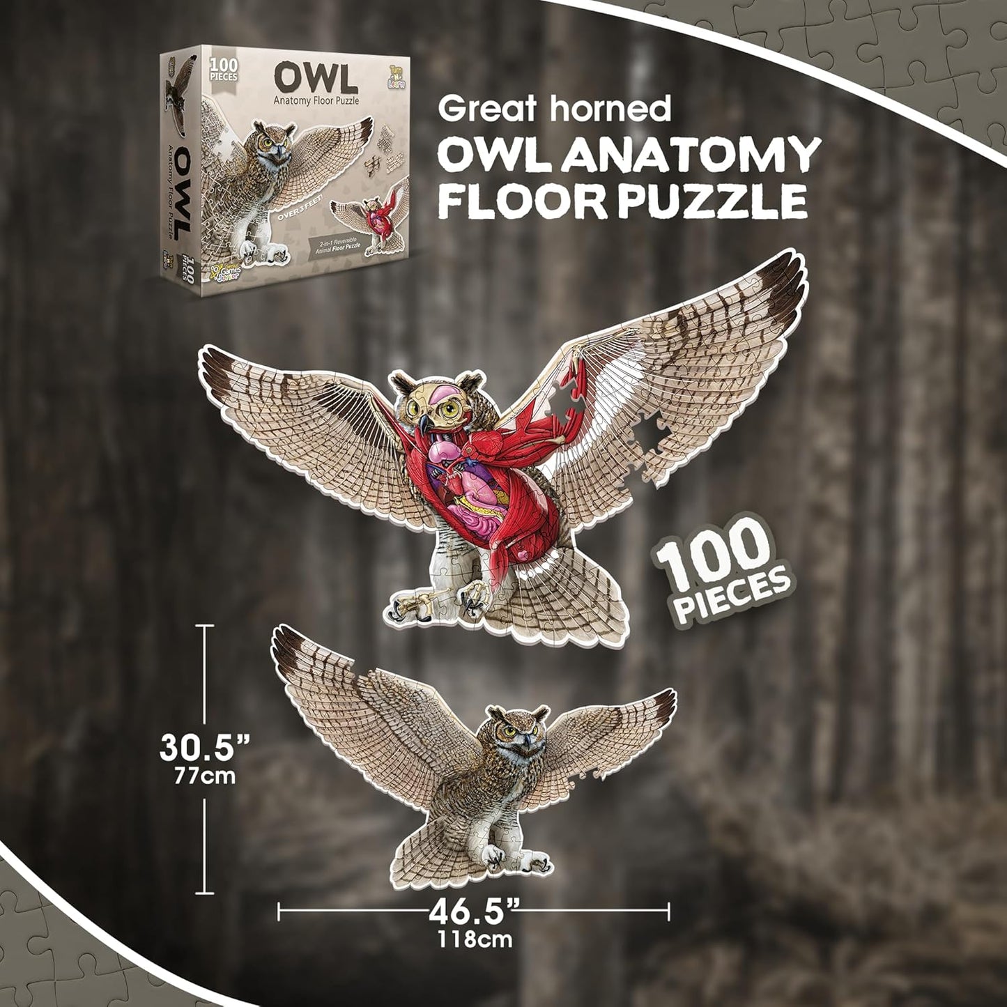 Bullfrog Animal Anatomy Floor Puzzle | 100-Piece Double Sided Jigsaw Puzzle | Large-Sized, Over 4 Feet Scientifically Accurate Illustration of Frog - Fun and Educational Toy for Kids, Toddlers