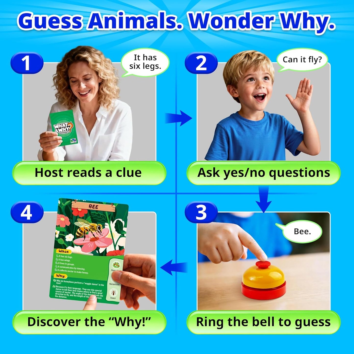 rokt&razo, What&Why? 87 Jumbo Cards with the Bell, Guess the Animal Card Game, Fun Educational Trivia Game for Kids & Family, 3 Difficulty Levels, Stocking Stuffer, for Home, School & Travel, Ages 4+