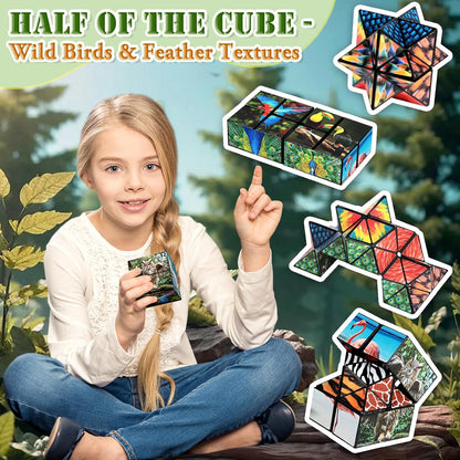 Star Cube Magic Cube Set, 2 in 1 Yoshimoto Cube for Kids and Adults, Toy for Boys and Girls Ages 8-12