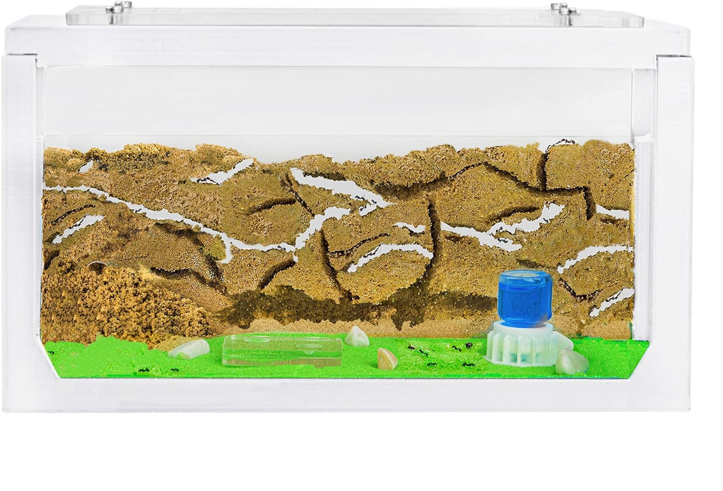 Anthouse.ES - Natural Sand Ant Farm - Acrylic Starter Kit 20x10x10 cm - Sand, Pipette, and Water Dispenser Included - Easy Installation