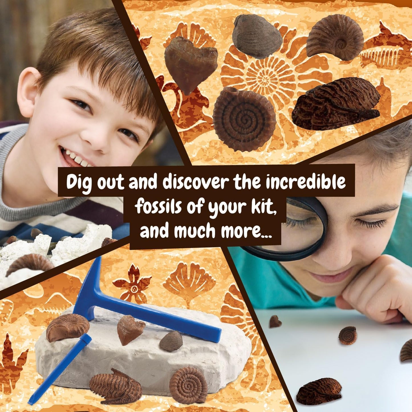 Science4you Fossil Digging Kit for Kids – Archeology, Excavation and Paleotology Kits for Kids, Fossil Dig, Stem Toy and Gift for Boys and Girls Age 6 7 8-12+